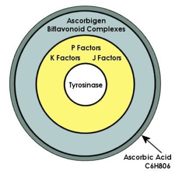 vit-c